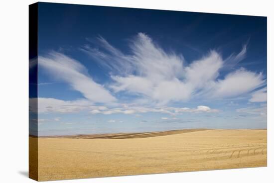 Prairie Landscape, Murdo, South Dakota, USA-Walter Bibikow-Stretched Canvas