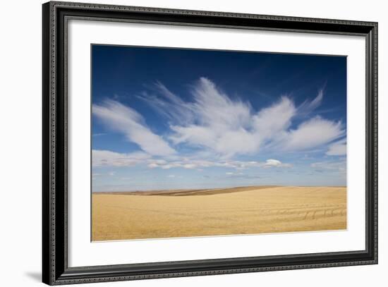 Prairie Landscape, Murdo, South Dakota, USA-Walter Bibikow-Framed Photographic Print