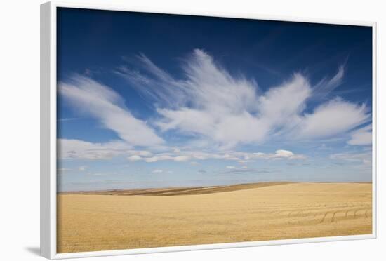 Prairie Landscape, Murdo, South Dakota, USA-Walter Bibikow-Framed Photographic Print