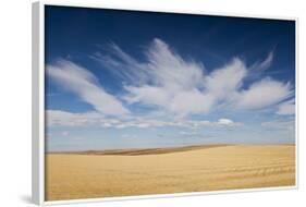 Prairie Landscape, Murdo, South Dakota, USA-Walter Bibikow-Framed Photographic Print