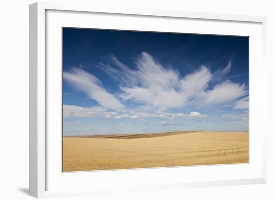 Prairie Landscape, Murdo, South Dakota, USA-Walter Bibikow-Framed Photographic Print