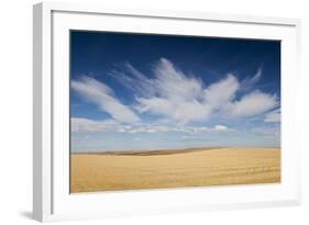 Prairie Landscape, Murdo, South Dakota, USA-Walter Bibikow-Framed Photographic Print