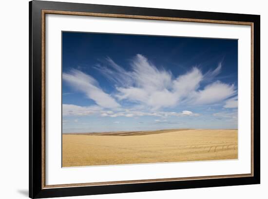 Prairie Landscape, Murdo, South Dakota, USA-Walter Bibikow-Framed Photographic Print