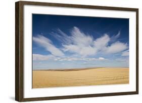 Prairie Landscape, Murdo, South Dakota, USA-Walter Bibikow-Framed Photographic Print