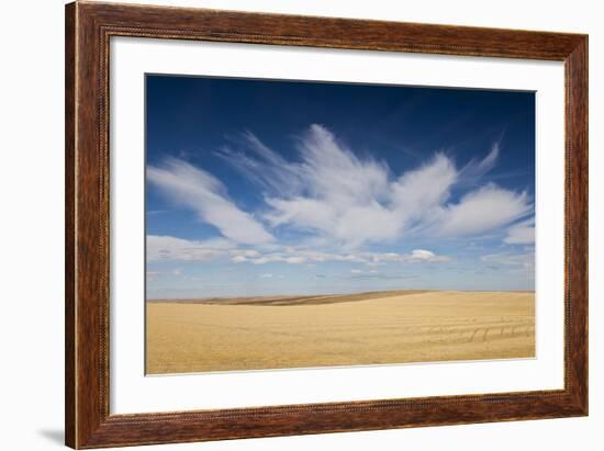 Prairie Landscape, Murdo, South Dakota, USA-Walter Bibikow-Framed Photographic Print