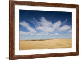 Prairie Landscape, Murdo, South Dakota, USA-Walter Bibikow-Framed Photographic Print