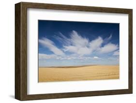 Prairie Landscape, Murdo, South Dakota, USA-Walter Bibikow-Framed Photographic Print