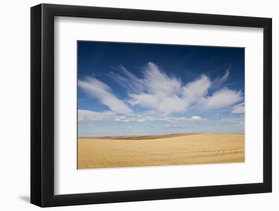 Prairie Landscape, Murdo, South Dakota, USA-Walter Bibikow-Framed Photographic Print