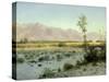 Prairie Landscape-Albert Bierstadt-Stretched Canvas