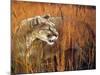 Prairie Marauder-Gordon Semmens-Mounted Giclee Print