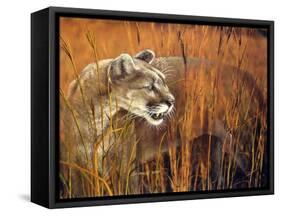 Prairie Marauder-Gordon Semmens-Framed Stretched Canvas