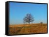 Prairie Oak-R_T_S-Framed Stretched Canvas