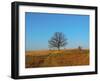 Prairie Oak-R_T_S-Framed Photographic Print