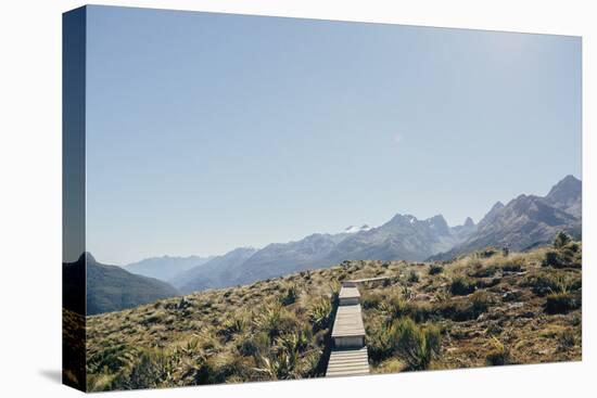 Prairie Path-Florian Schleinig-Stretched Canvas