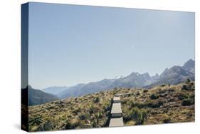 Prairie Path-Florian Schleinig-Stretched Canvas