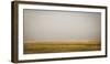 Prairie Perspective-Andrew Geiger-Framed Giclee Print