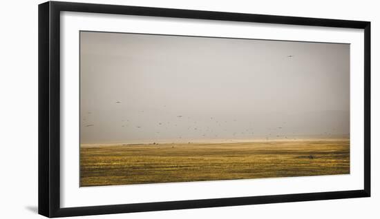 Prairie Perspective-Andrew Geiger-Framed Giclee Print