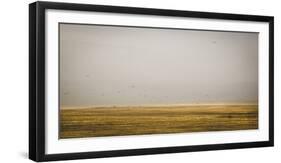 Prairie Perspective-Andrew Geiger-Framed Giclee Print