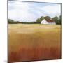 Prairie Premise II-Grace Popp-Mounted Art Print