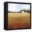 Prairie Premise II-Grace Popp-Framed Stretched Canvas