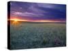 Prairie Sunset near Culbertson, Montana, USA-Chuck Haney-Stretched Canvas