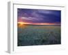 Prairie Sunset near Culbertson, Montana, USA-Chuck Haney-Framed Premium Photographic Print