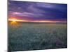 Prairie Sunset near Culbertson, Montana, USA-Chuck Haney-Mounted Premium Photographic Print