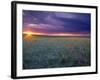 Prairie Sunset near Culbertson, Montana, USA-Chuck Haney-Framed Photographic Print