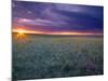 Prairie Sunset near Culbertson, Montana, USA-Chuck Haney-Mounted Photographic Print