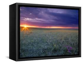 Prairie Sunset near Culbertson, Montana, USA-Chuck Haney-Framed Stretched Canvas