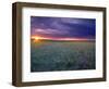 Prairie Sunset near Culbertson, Montana, USA-Chuck Haney-Framed Photographic Print