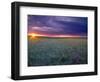 Prairie Sunset near Culbertson, Montana, USA-Chuck Haney-Framed Photographic Print