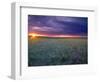 Prairie Sunset near Culbertson, Montana, USA-Chuck Haney-Framed Photographic Print