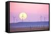 Prairie Sunset-06photo-Framed Stretched Canvas