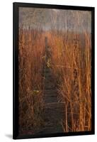 Prairie Trail-Steve Gadomski-Framed Photographic Print