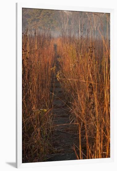 Prairie Trail-Steve Gadomski-Framed Premium Photographic Print