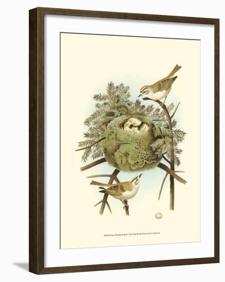 Prairie Warbler & Nest-null-Framed Art Print