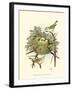 Prairie Warbler & Nest-null-Framed Art Print