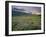 Prairie Wildflowers Along Lake Sherbourne, Many Glacier Valley of Glacier National Park, Montana-Chuck Haney-Framed Photographic Print