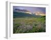 Prairie Wildflowers Along Lake Sherbourne, Many Glacier Valley of Glacier National Park, Montana-Chuck Haney-Framed Photographic Print