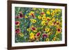 Prairie Wildflowers in Hill Country Near Johnson City, Texas, Usa-Chuck Haney-Framed Photographic Print