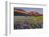 Prairie Wildflowers in Meadow in Glacier National Park, Montana, Usa-Chuck Haney-Framed Photographic Print