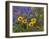 Prairie Wildflowers, Montana, Usa-Chuck Haney-Framed Photographic Print