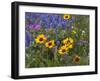 Prairie Wildflowers, Montana, Usa-Chuck Haney-Framed Photographic Print