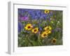 Prairie Wildflowers, Montana, Usa-Chuck Haney-Framed Photographic Print