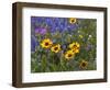 Prairie Wildflowers, Montana, Usa-Chuck Haney-Framed Photographic Print