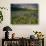 Prairie Wildflowers Near Lake Sherburne, Many Glacier Valley, Glacier National Park, Montana, USA-Chuck Haney-Photographic Print displayed on a wall