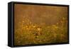 Prairie Wildflowers-Steve Gadomski-Framed Stretched Canvas