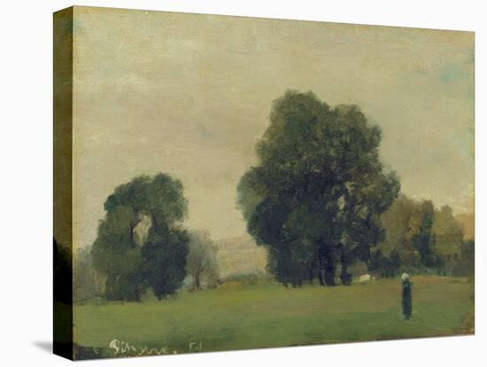 Prairies De La Roche-Guyon, 1859-Camille Pissarro-Stretched Canvas
