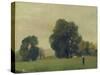 Prairies De La Roche-Guyon, 1859-Camille Pissarro-Stretched Canvas